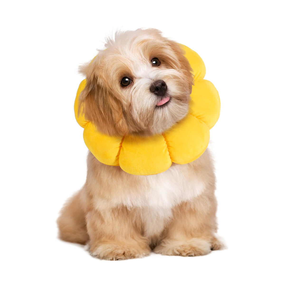 Hombys cono suave con flor rosa para la comodidad del perro.