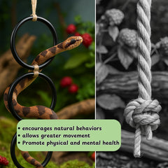Homedy Crafts conjunto-enriquecimiento-serpiente-terrario, crea un paisaje visualmente atractivo y funcional.