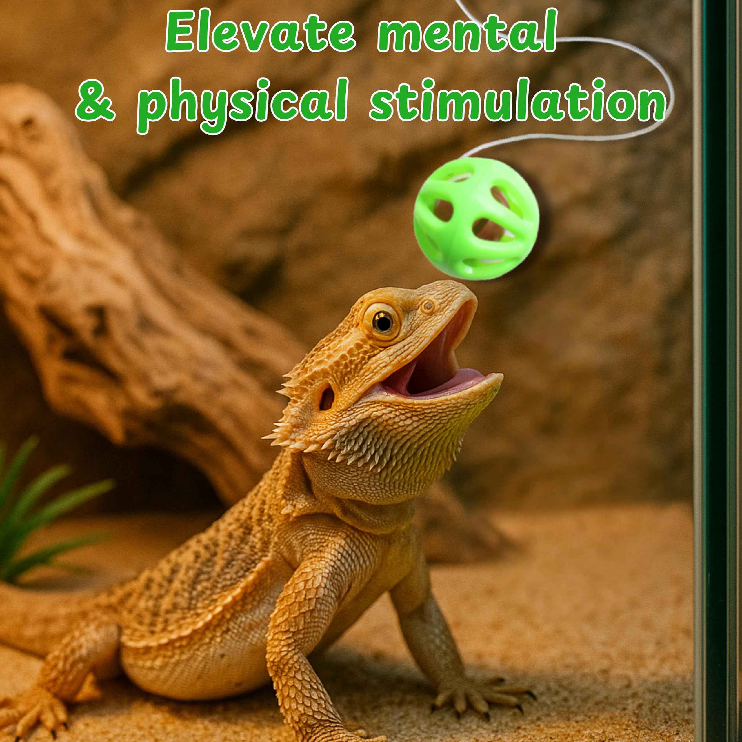 Enriquecimiento vegetal para dragón barbudo, fomenta prueba de nuevos alimentos.