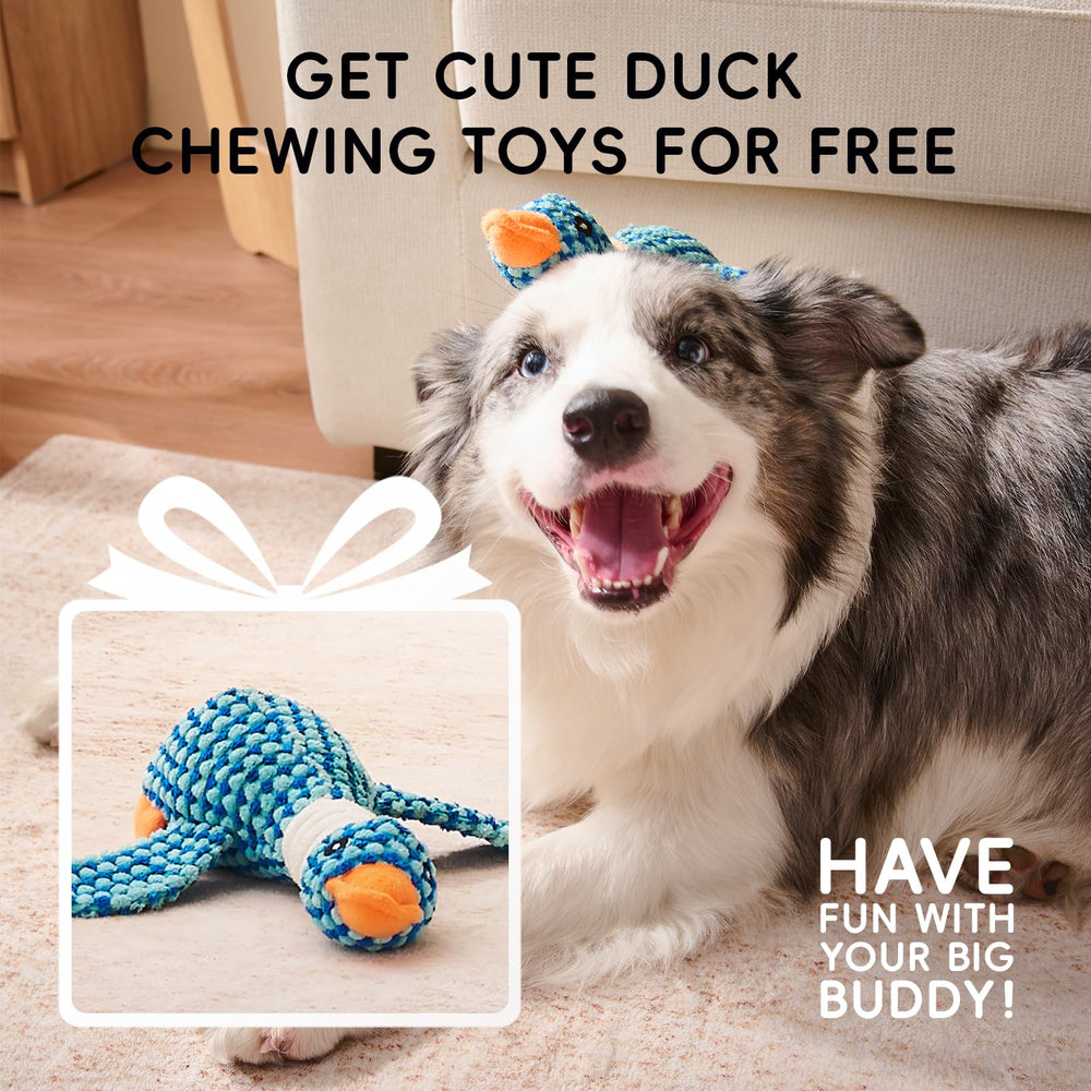 Cubierta lavable y desmontable de la cama Homemate para perros
