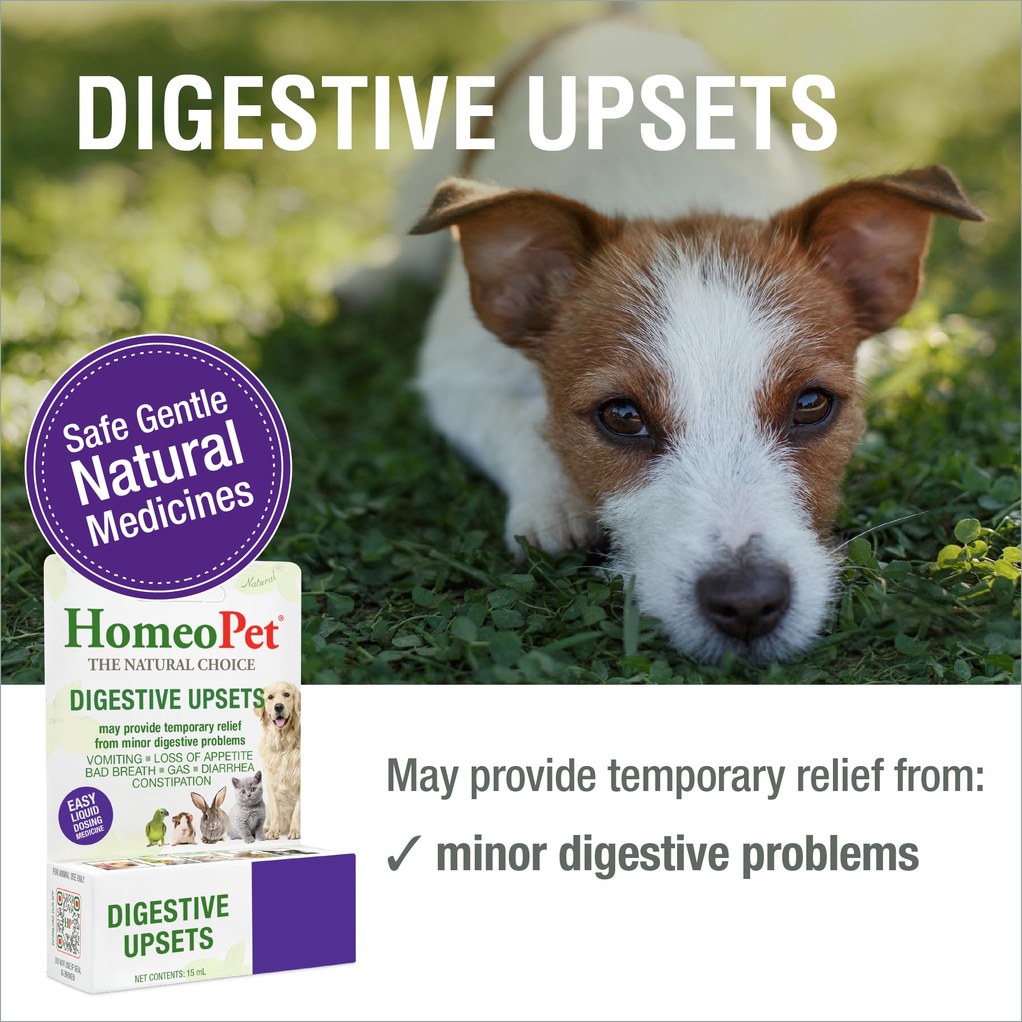 HomeoPet Digestive Upsets: dosis en boca para uso diario cómodo.