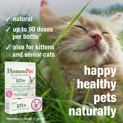 HomeoPet Felino UTI+ dosis en comida para gatos