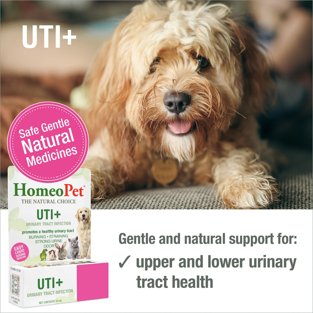 HomeoPet UTI+ se dosifica en agua para uso diario cómodo.