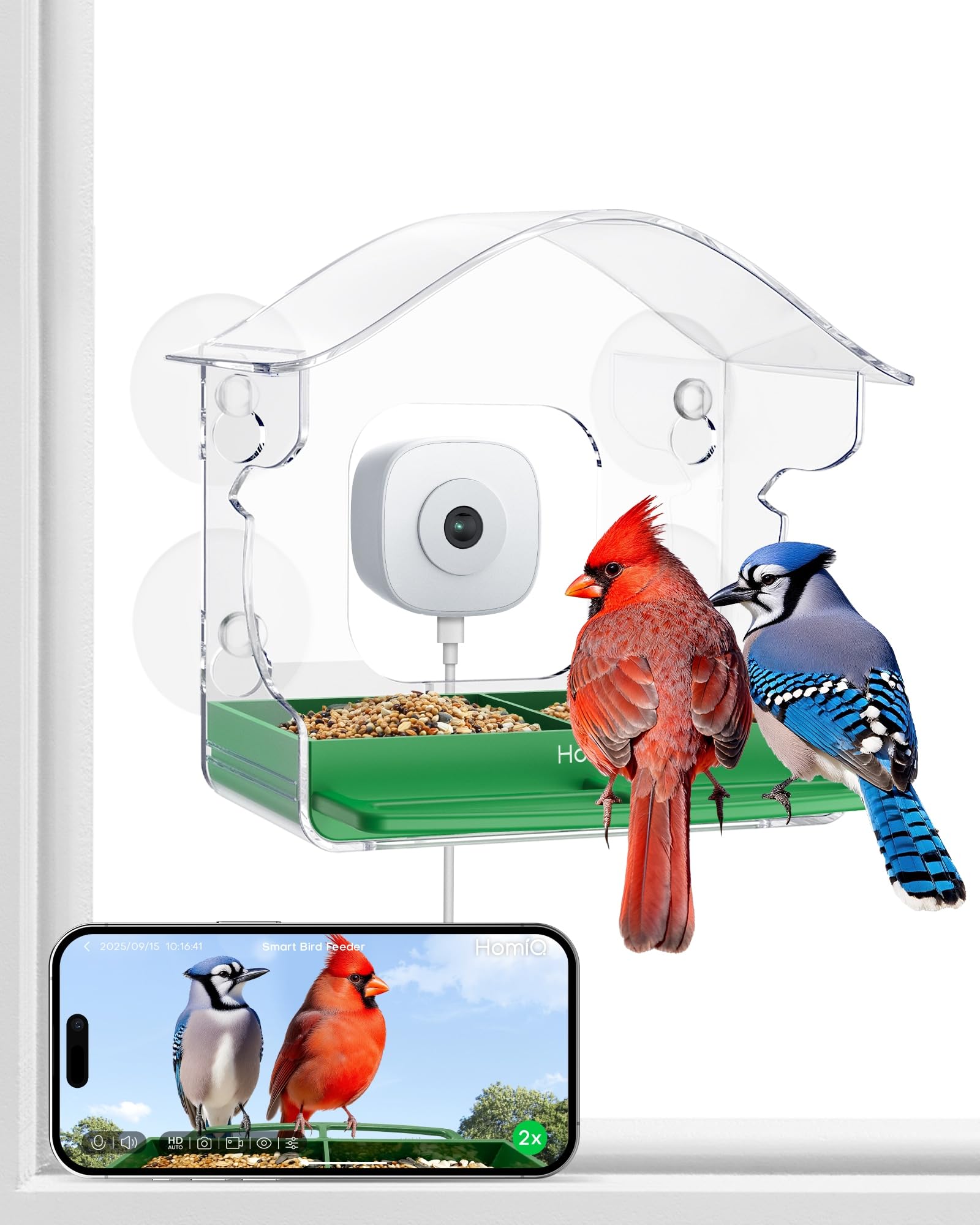 HomiQ comedero para aves con cámara 2K HD desde la ventana