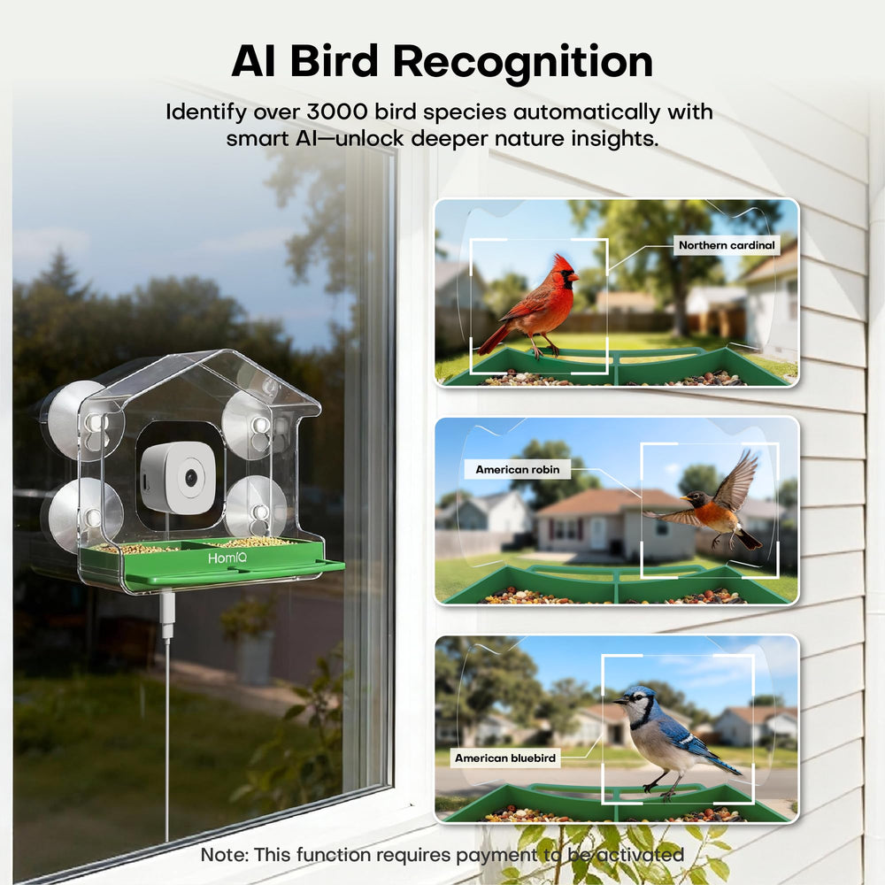 HomiQ Life: alertas rápidas ante la llegada de aves