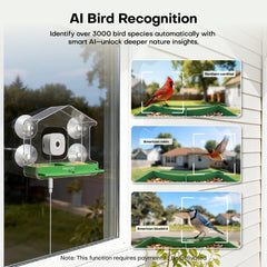 HomiQ Life: alertas rápidas ante la llegada de aves