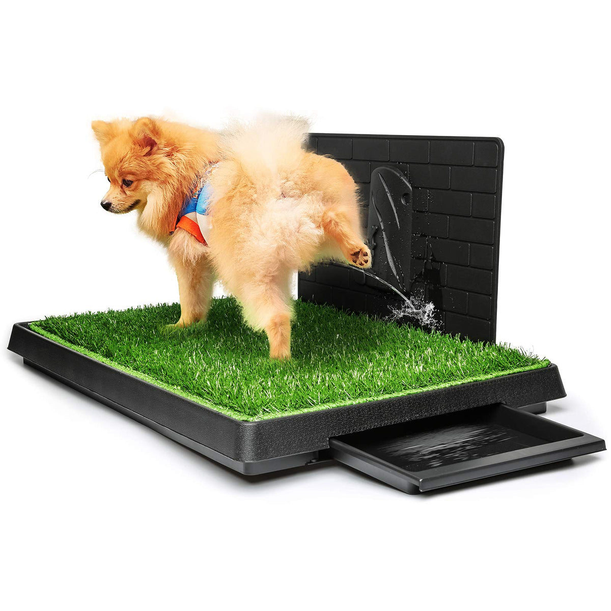 Hompet césped artificial con bandeja grande para entrenamiento de perros.