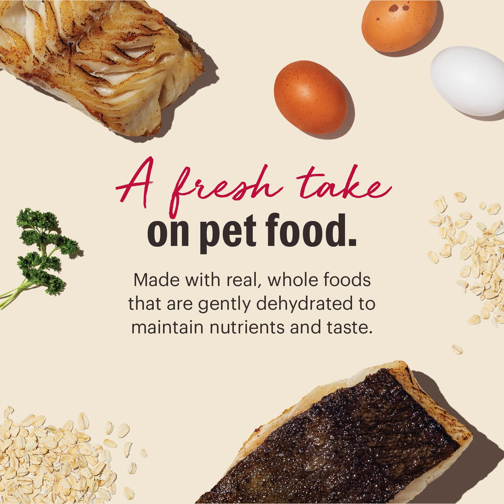 The Honest Kitchen alimento rehidratado en tazon para perro