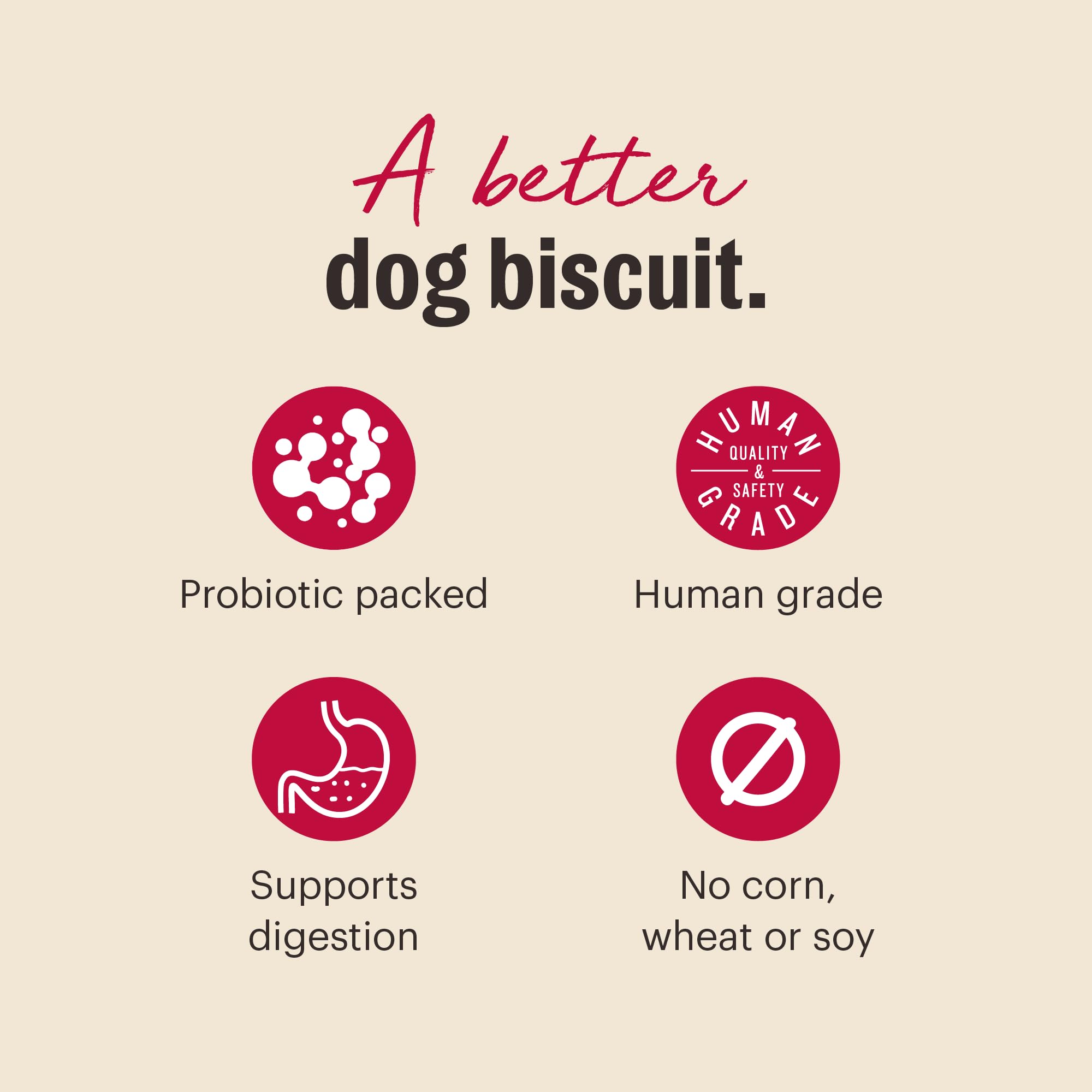 Puppy enjoys the treat, demonstrating broad appeal for dogs of all ages.