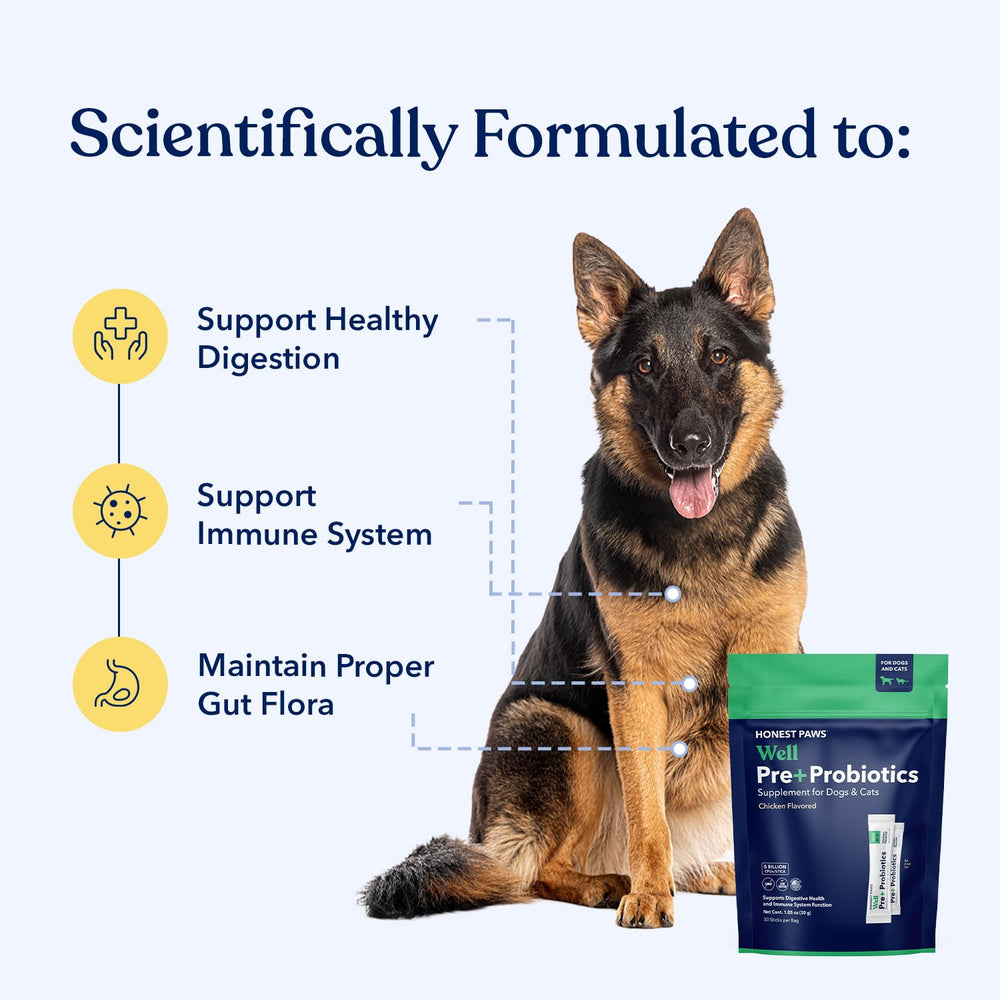 Honest Paws Probiotics sabor pollo, ideal para perros selectivos al comer.