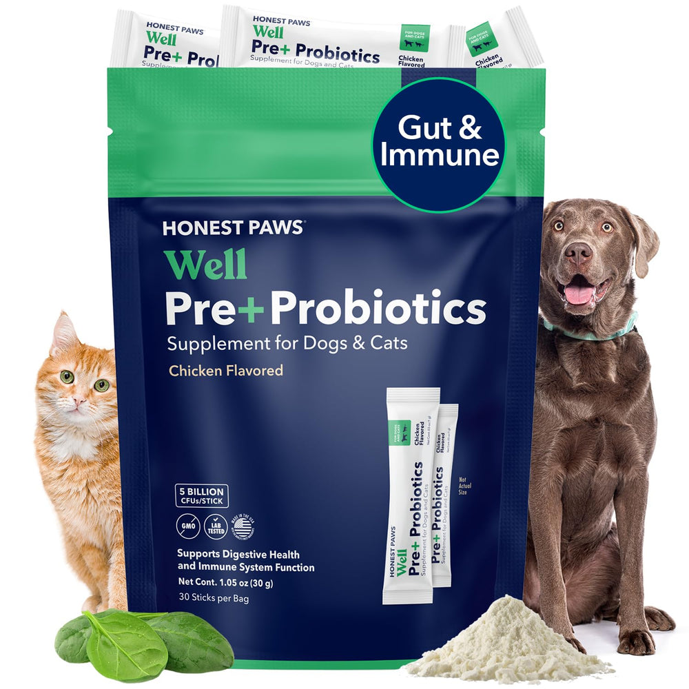 Honest Paws Probiotics para perros, sobres de porción, fácil de mezclar con la comida diaria.