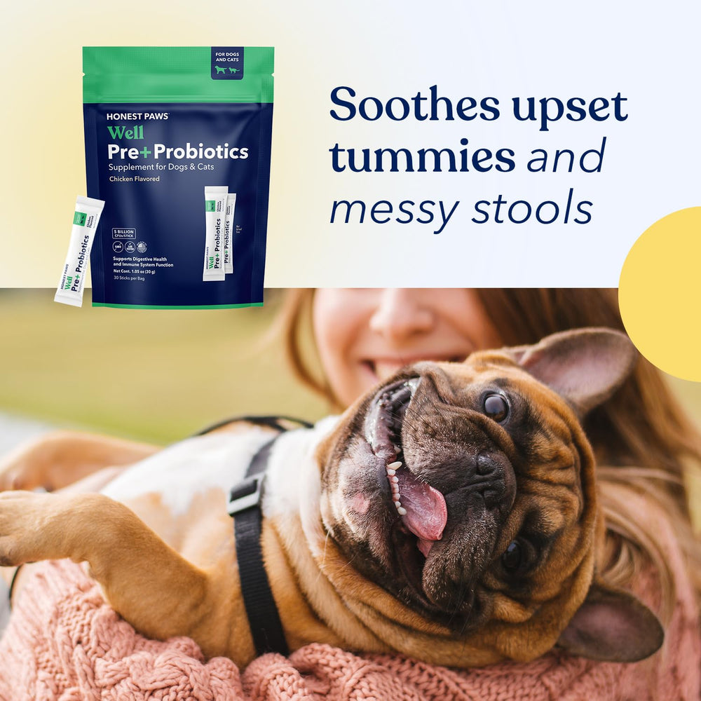 Honest Paws Probiotics práctico uso diario sobre comida para perros.