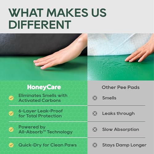 Honey Care All-Absorb para uso diario y control de orina.