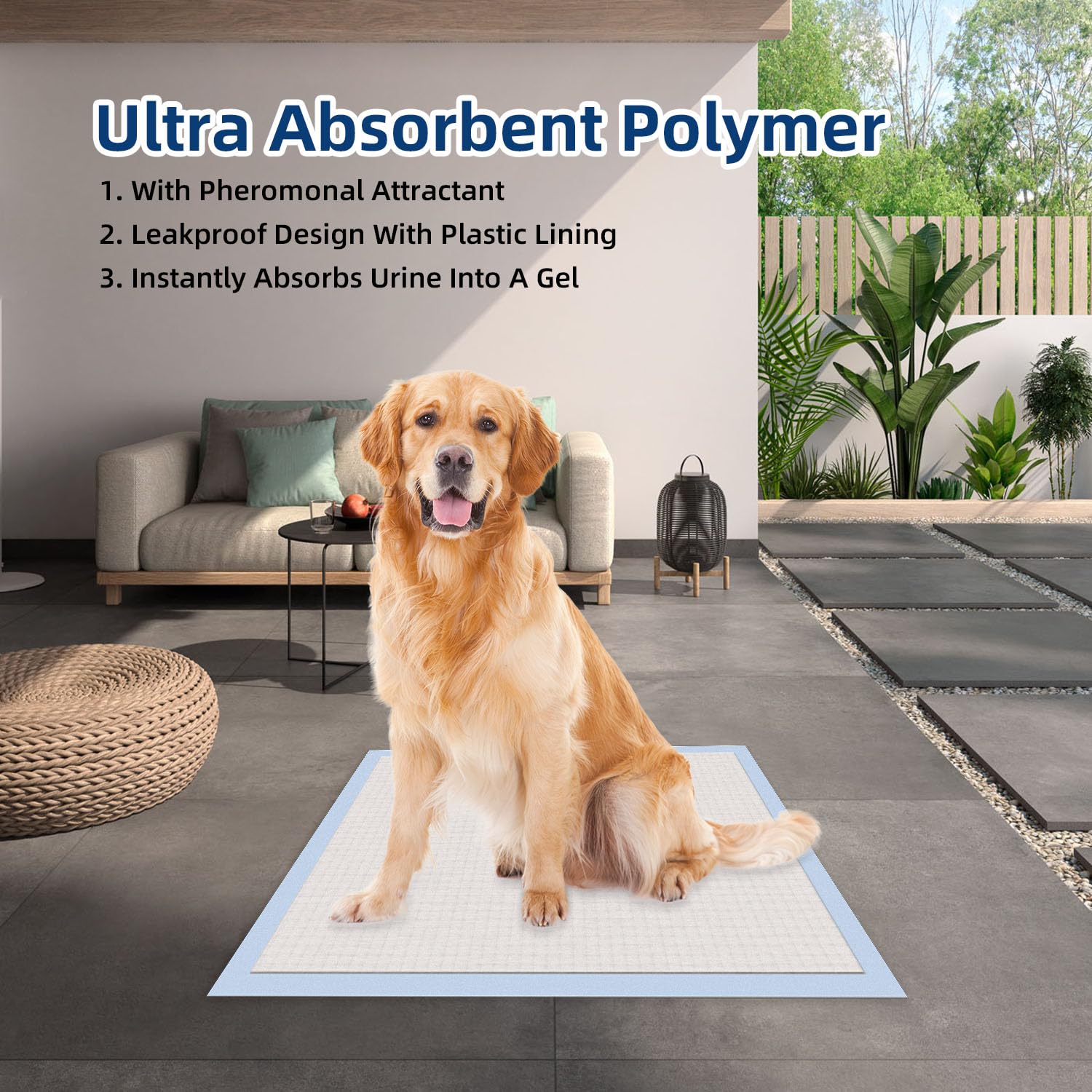 Paquete de 25 almohadillas grandes de Honey Care para perros.