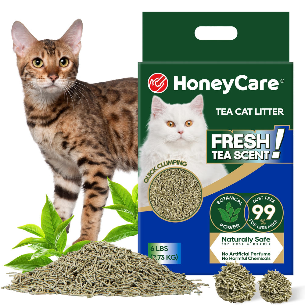 HoneyCare Té para Gatos en empaque de 6 libras para uso diario en casa