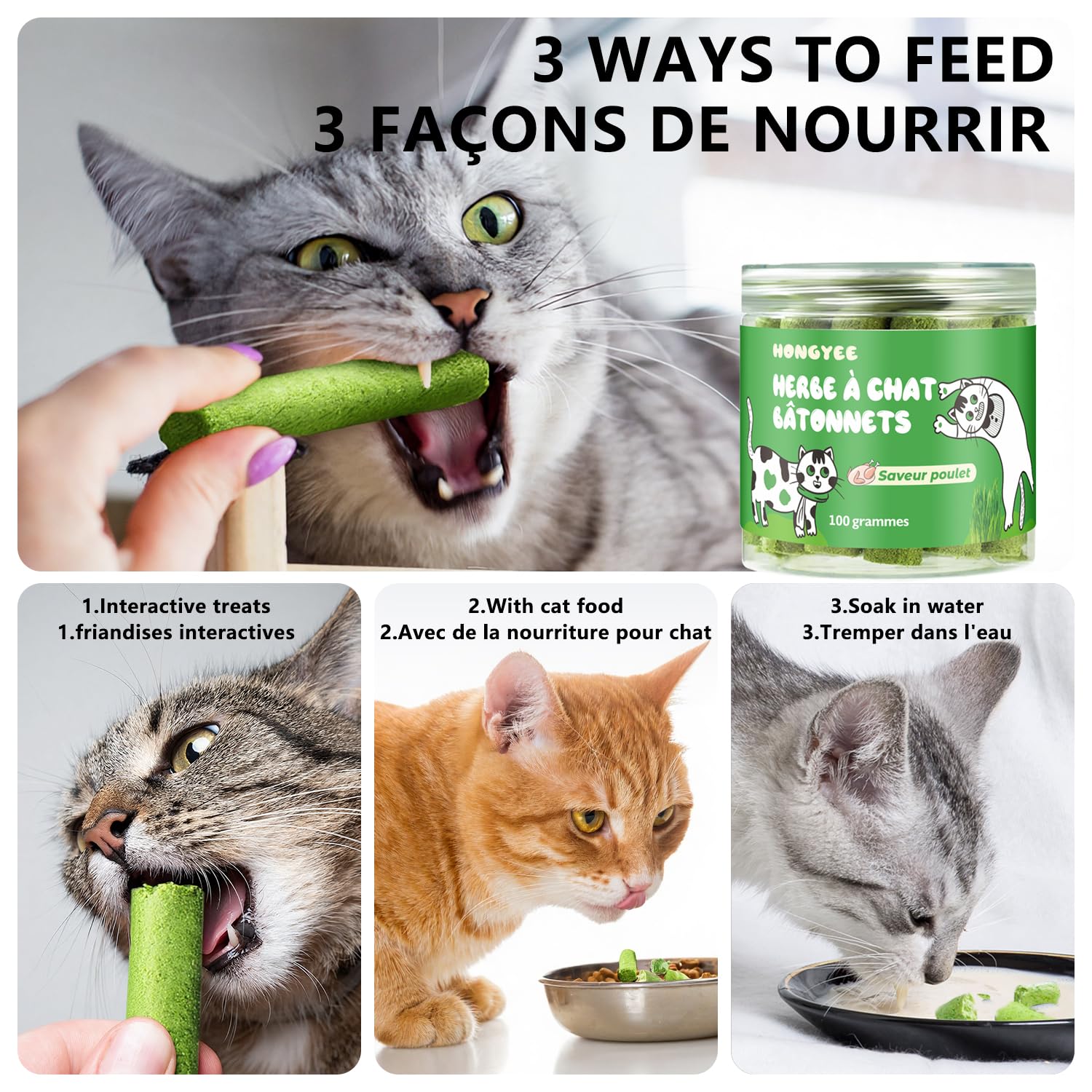Gato premiado con snack HONGYEE durante juego