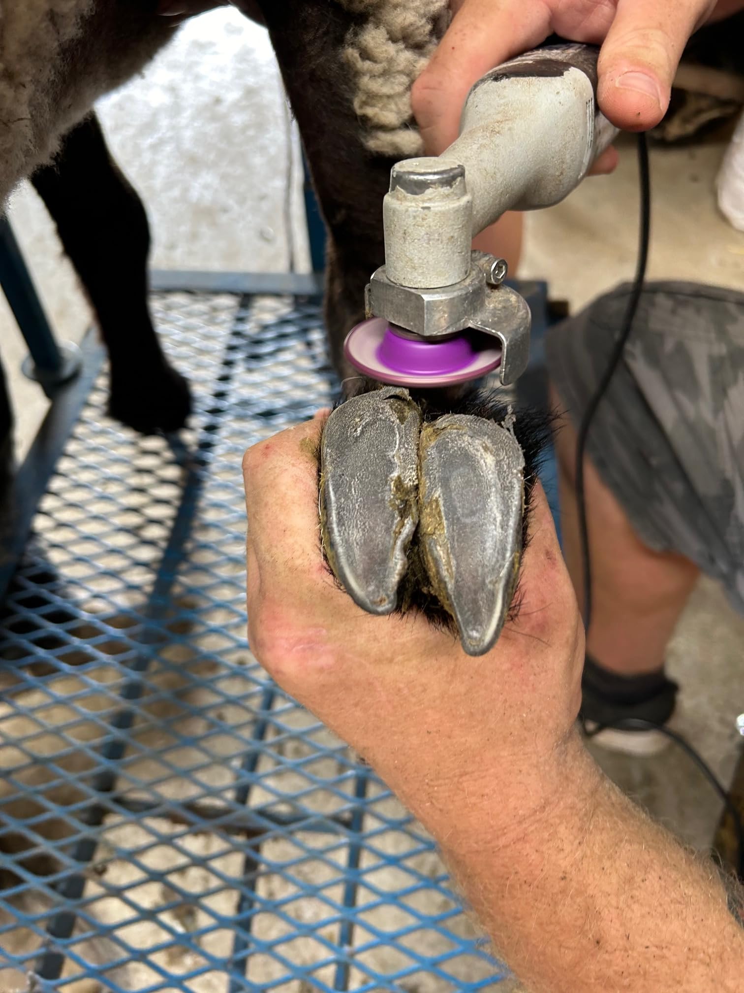 Hoof Boss control de calor para trabajar con mayor comodidad.