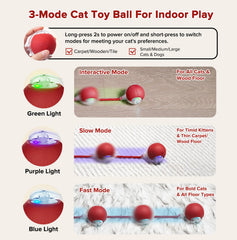 Hopezone colas intercambiables de nylon para perros activos durante el juego.