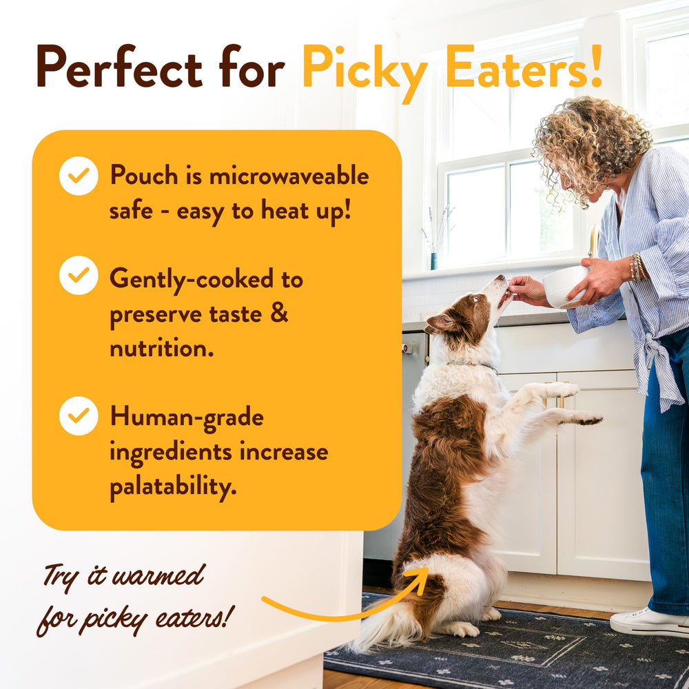 Hopkin's Pork N’ Potato, uso como complemento húmedo: ideal para perros selectos.