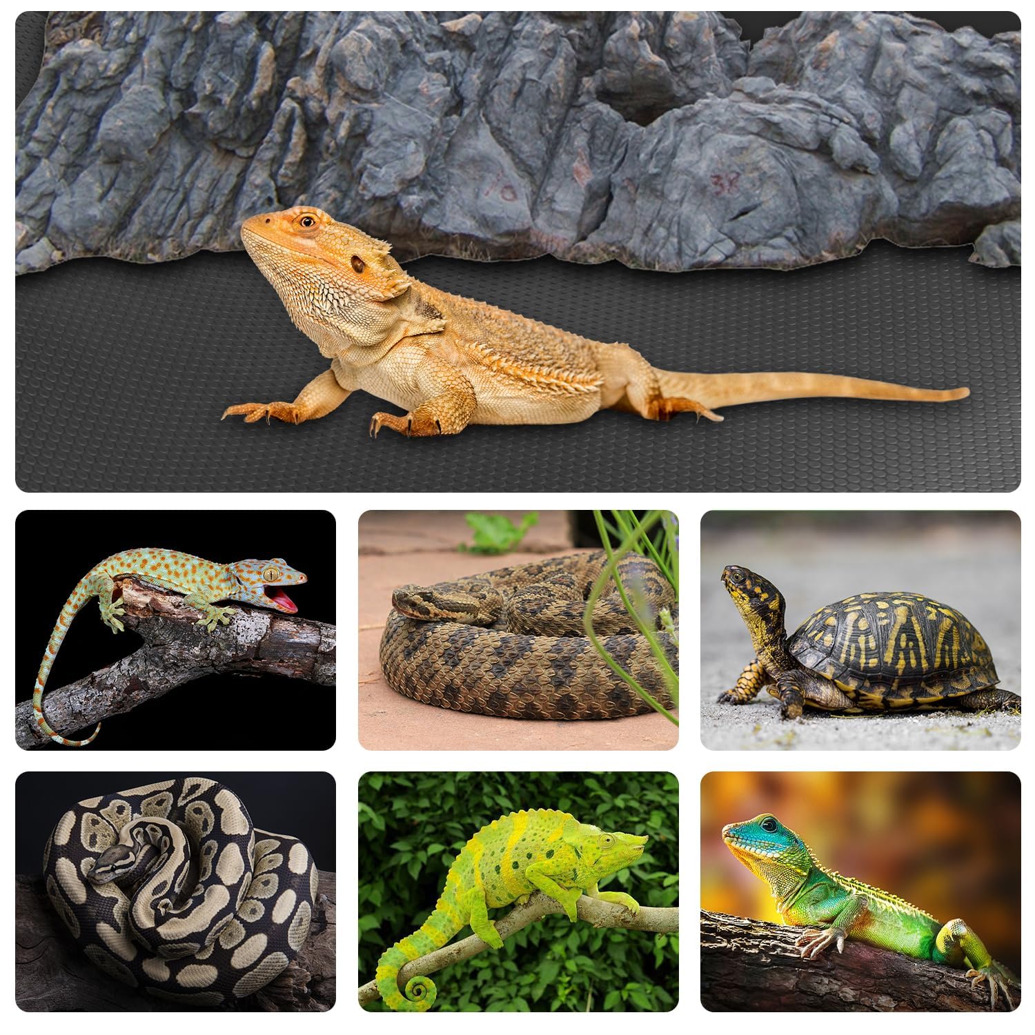 Suelo Hoplaep reptil impermeable, fácil de limpiar.
