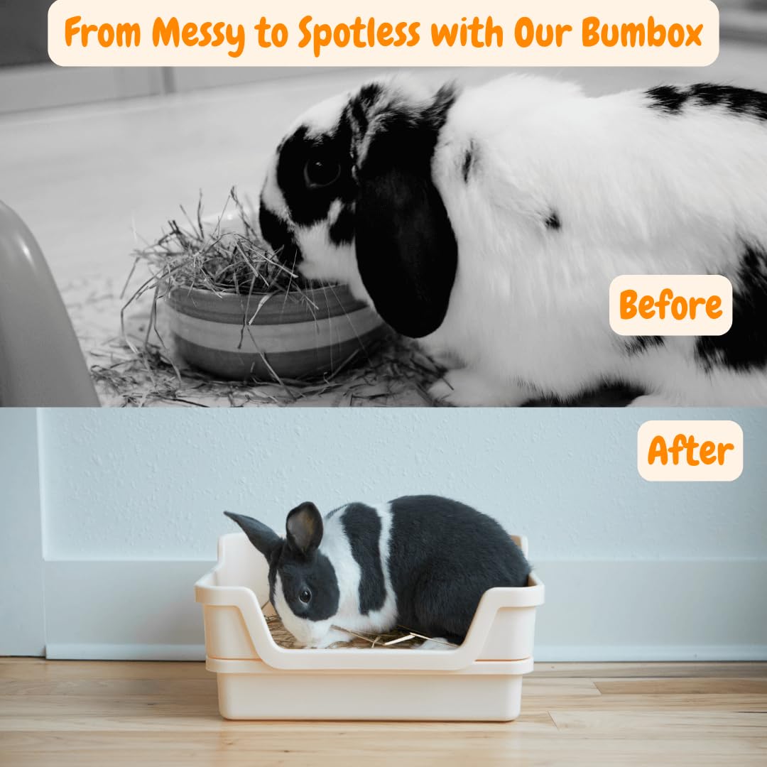 HoppScotch.bun Bumbox-uso-interior-exterior: apta para uso dentro y fuera.