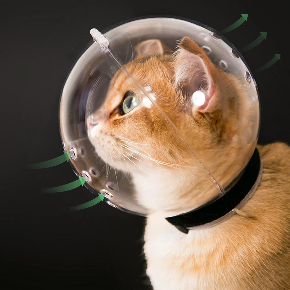 Hoqqf bozal gato capucha transparente para respiración cómoda durante el uso