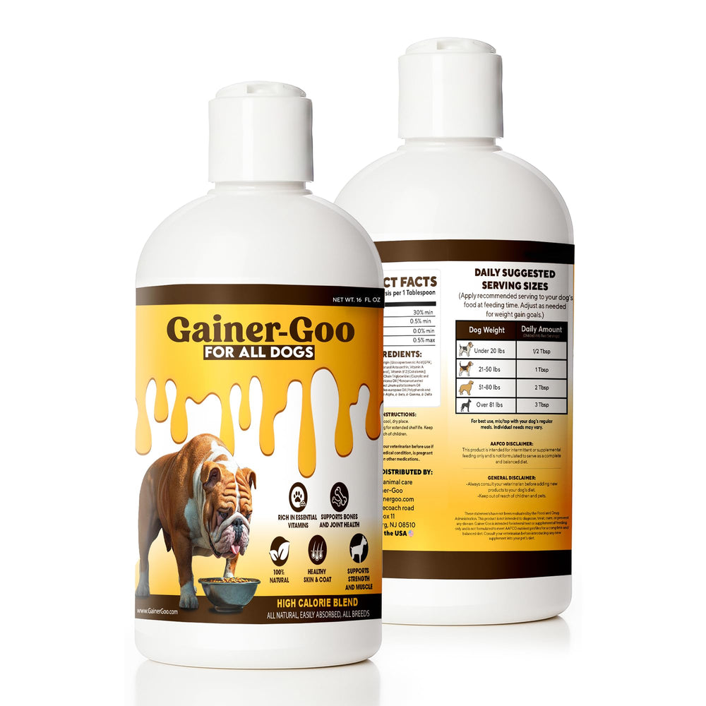 Perro activo utiliza Gainer-GOO para apoyar su energía diaria.