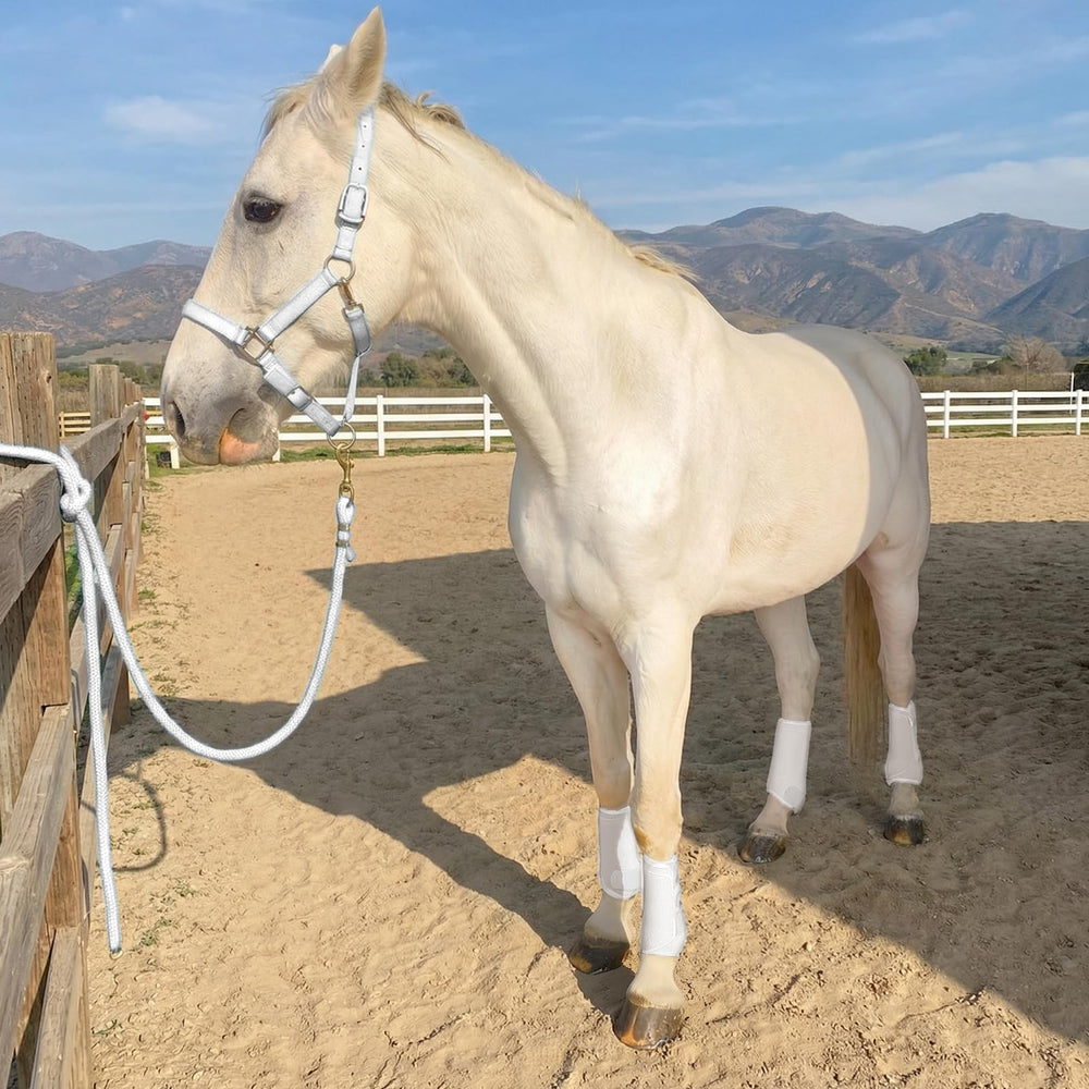 Horntack botas espinilleros caballo blanco cierres sistema gancho y bucle duradero