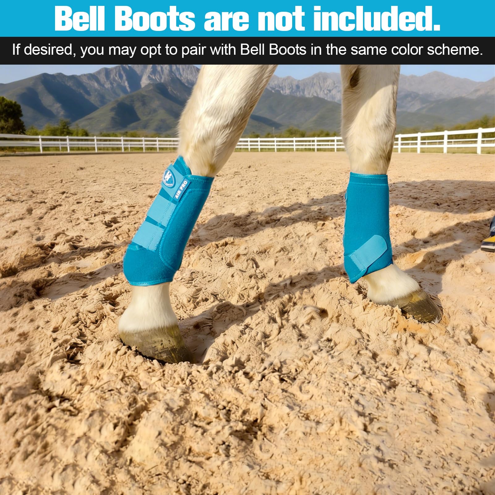 Horntack ideal para entrenamientos y transporte de caballos.