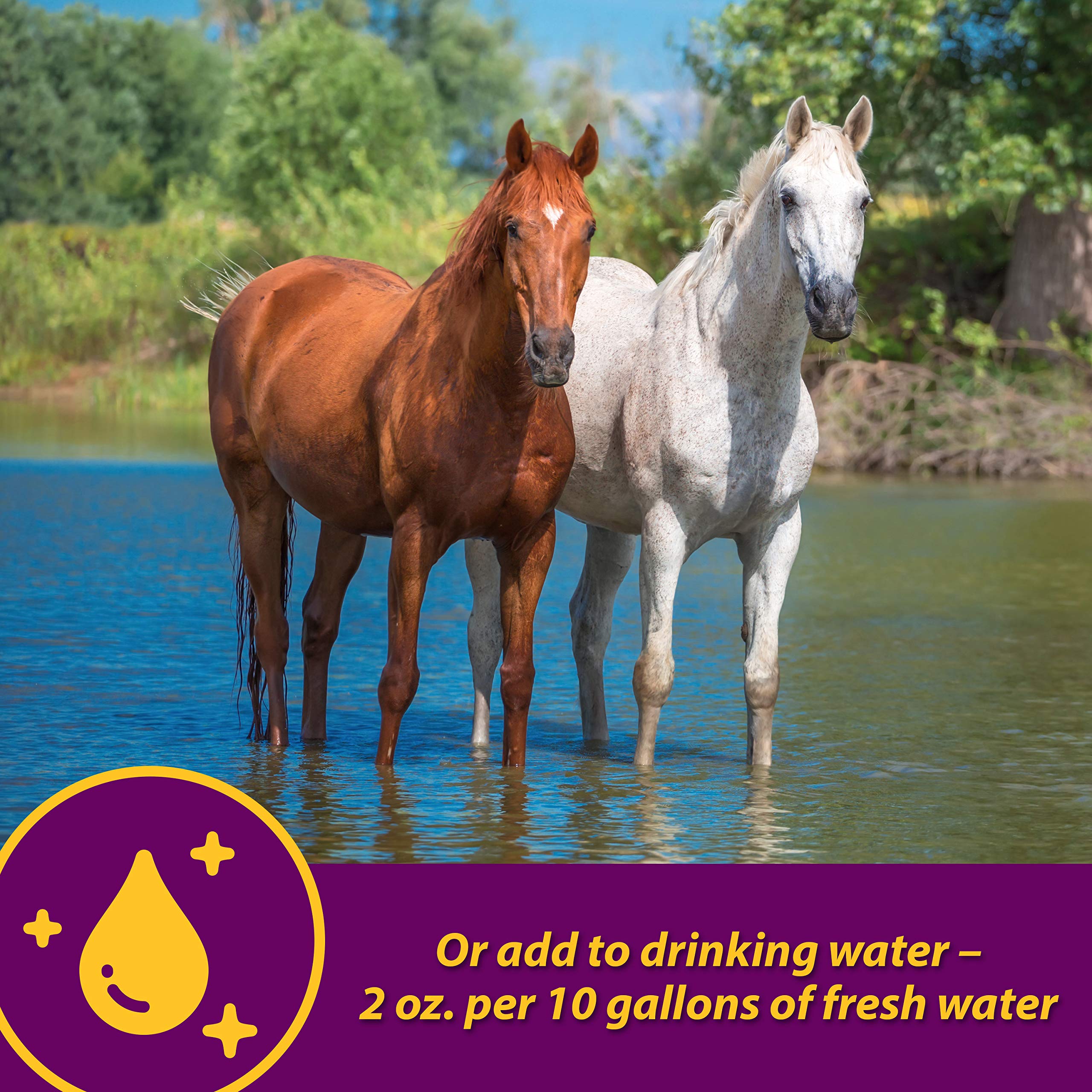 Horse Health Apple-Dex etiqueta detallada con información de uso y sabor.