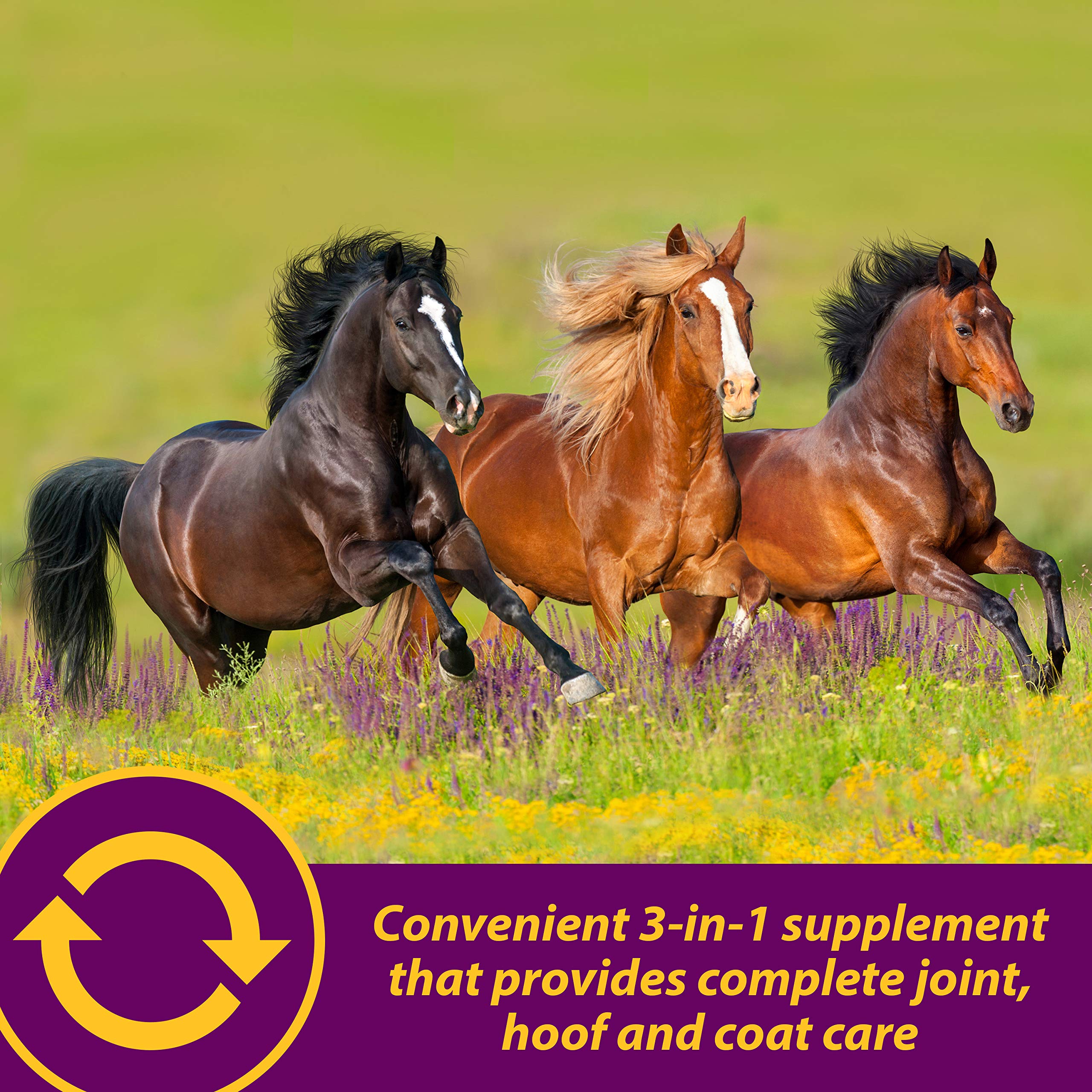 Horse Health Articulacion Combo envase cerrado protege el producto y sabor.