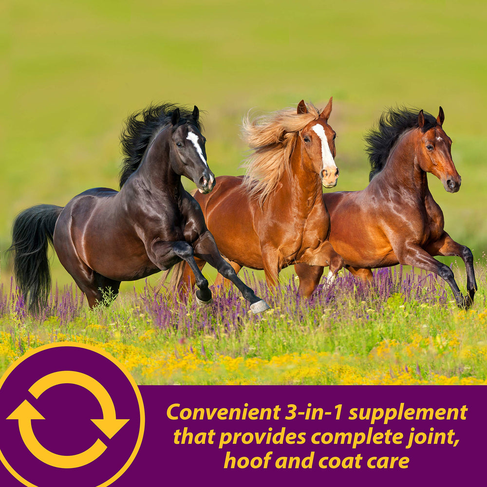 Horse Health Articulacion Combo envase cerrado protege el producto y sabor.
