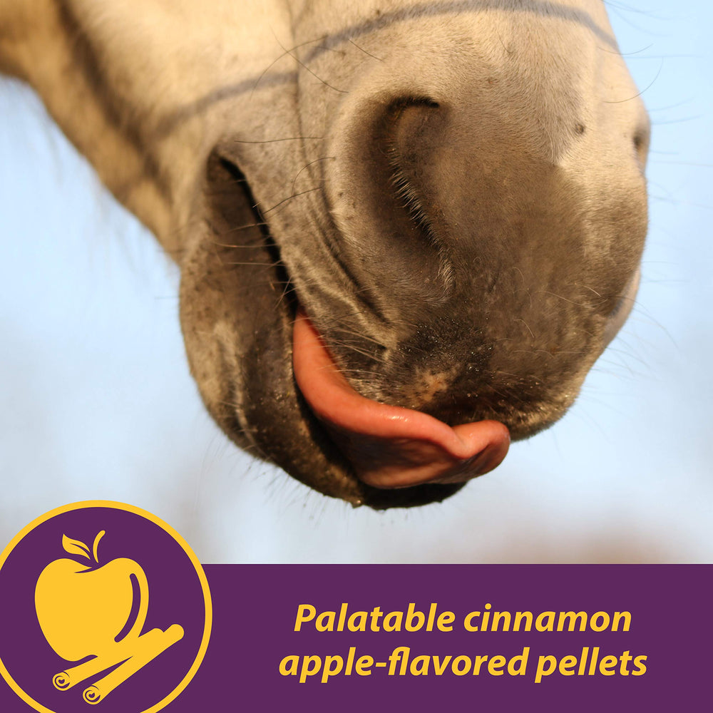 Horse Health Articulacion Combo movilidad facilitada para articulaciones sanas.