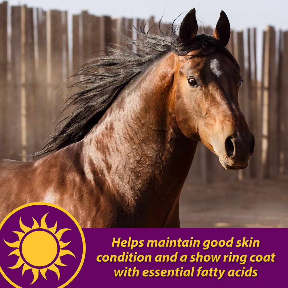 Horse Health Articulacion Combo omega-3-6 para piel y pelaje brillantes.
