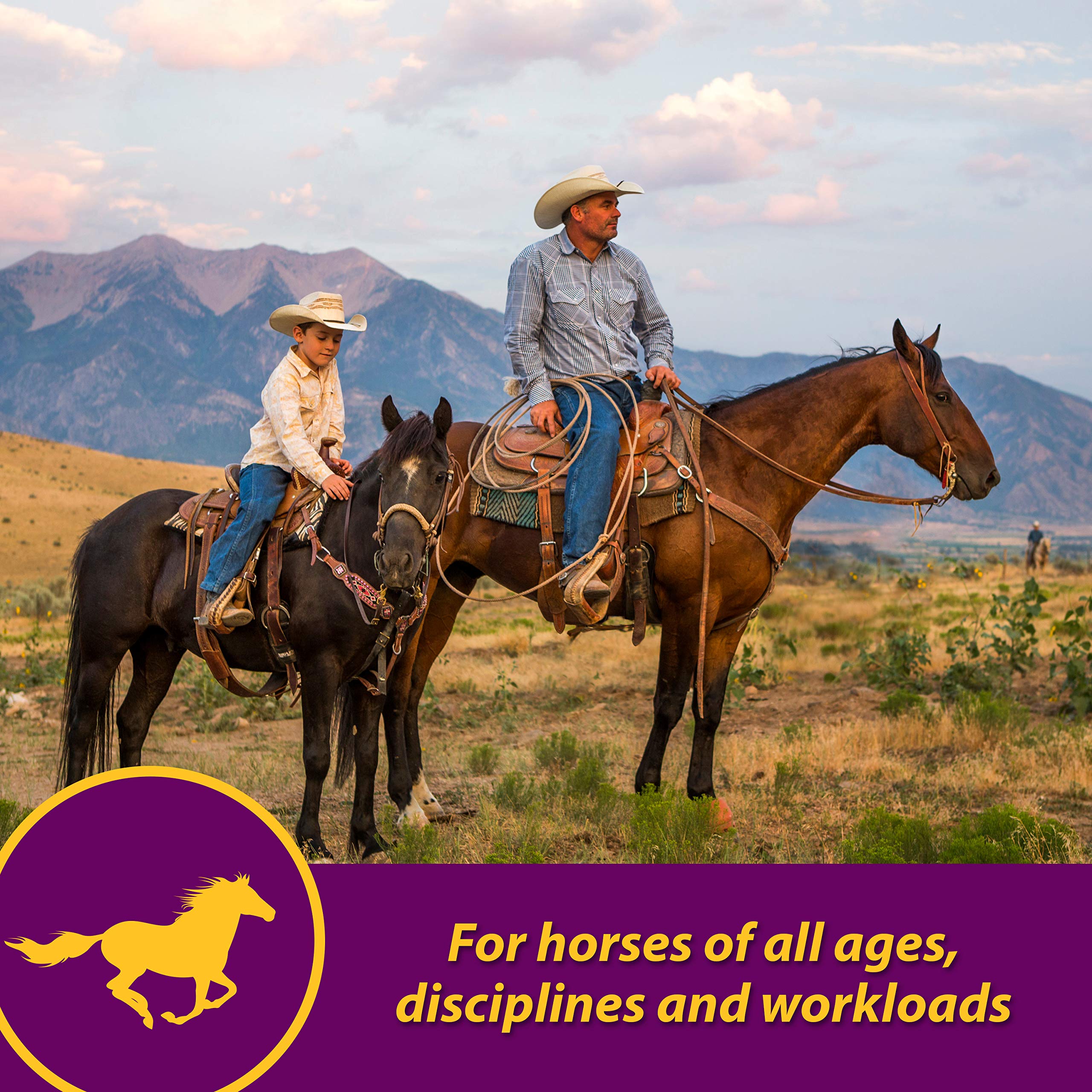 Horse Health Red Cell complejo B: apoya metabolismo