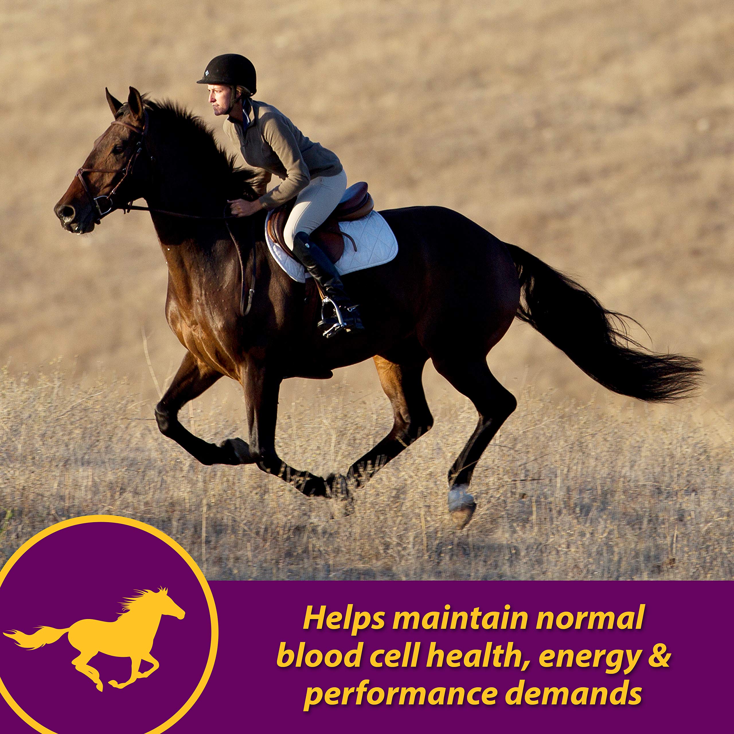 Horse Health Red Cell dosis oral: jeringa para administración sencilla