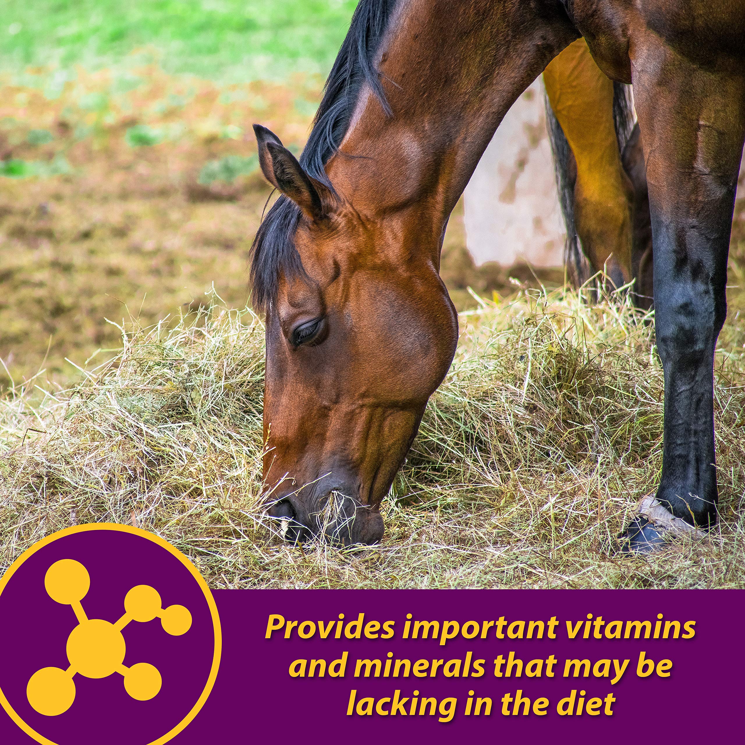 Horse Health Red Cell hierro 300 mg: aporte de hierro