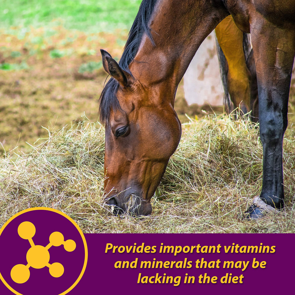 Horse Health Red Cell hierro 300 mg: aporte de hierro