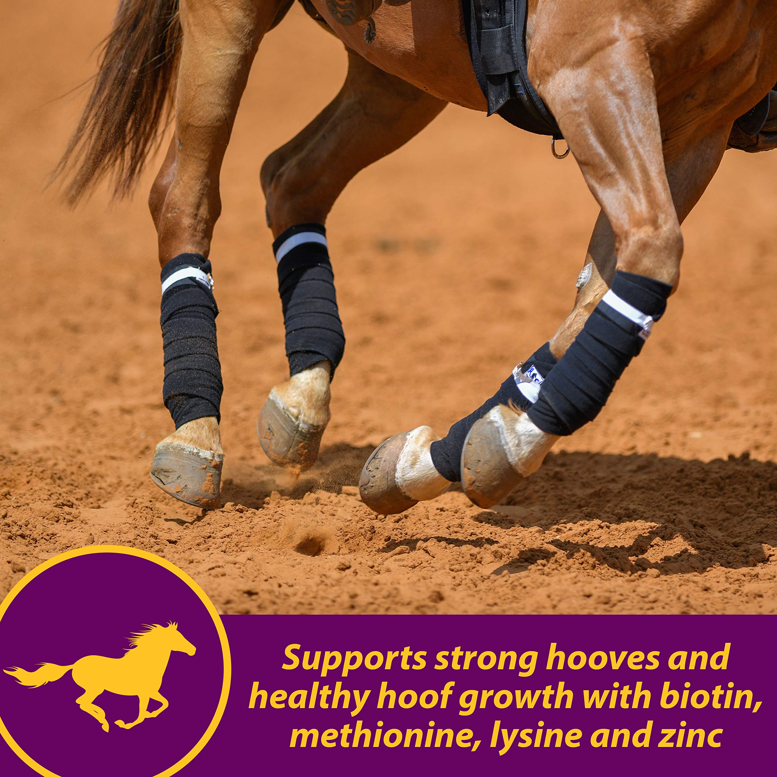 Horse Health Joint Combo casco fuerte y saludable