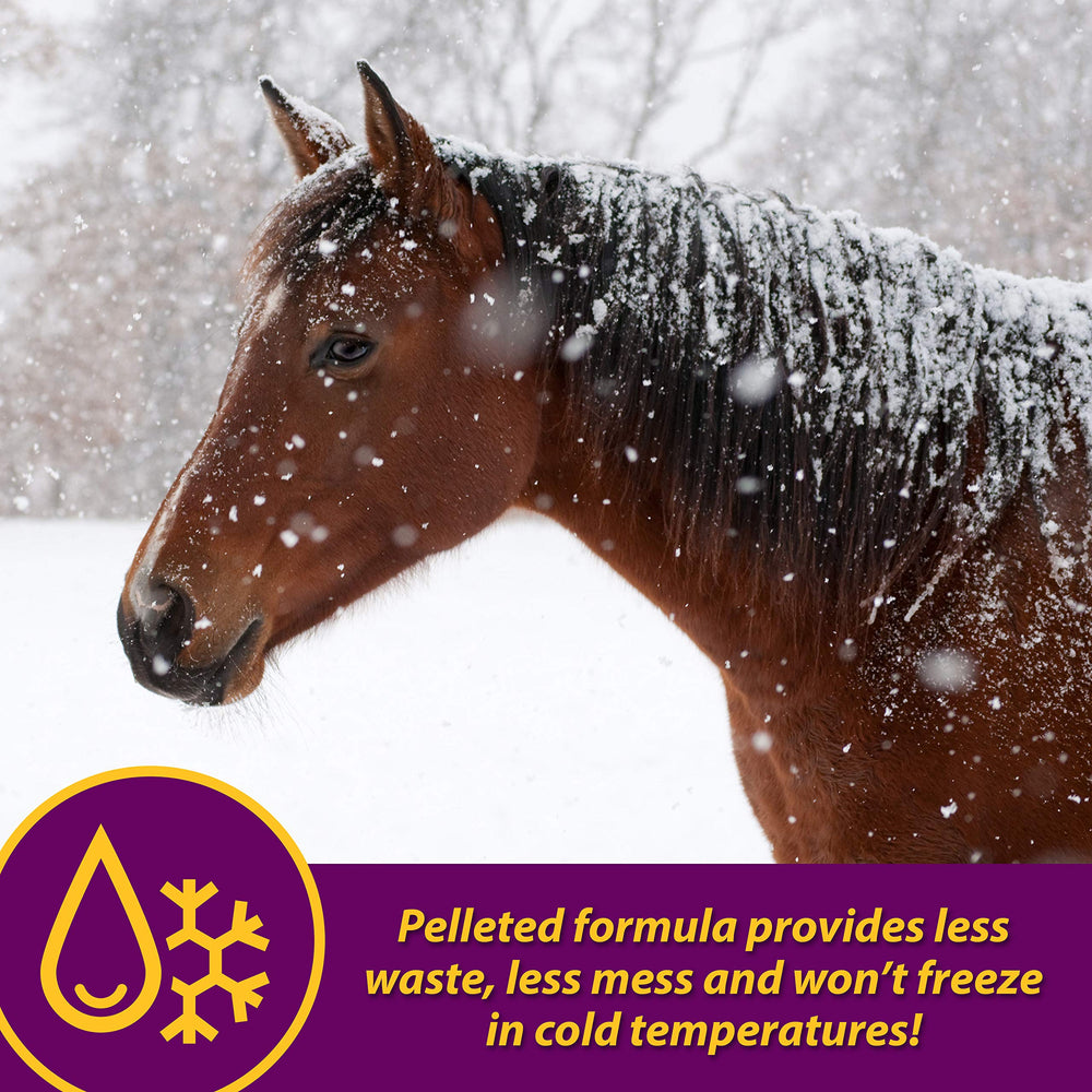 Horse Health Red Cell Pellets beneficios metabólicos gracias al complejo B para energía.