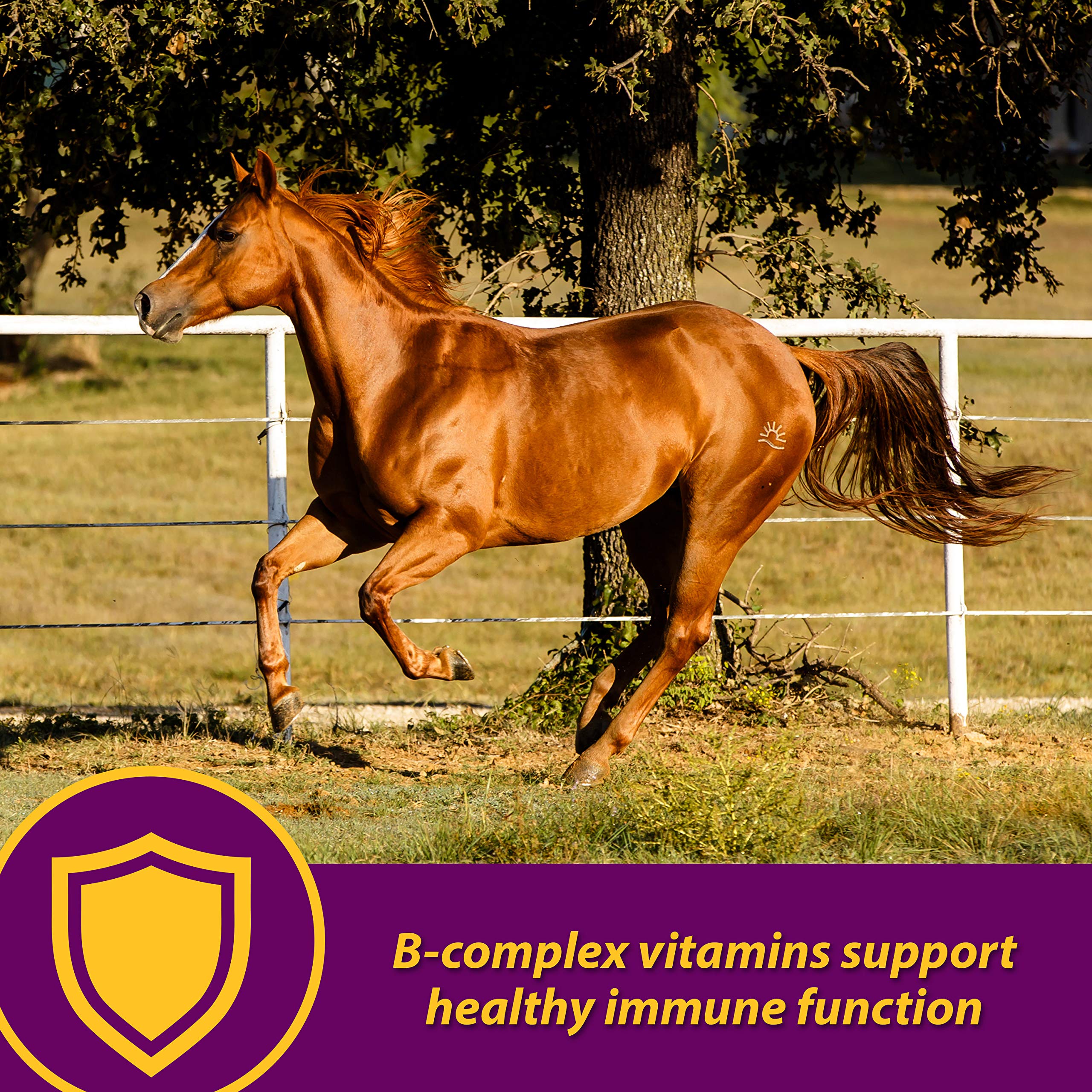 Horse Health Red Cell sabor yuca: suplemento sabroso para caballos