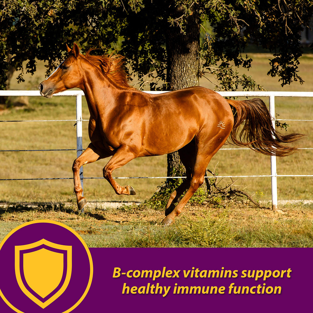 Horse Health Red Cell sabor yuca: suplemento sabroso para caballos