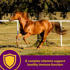 Horse Health Red Cell sabor yuca: suplemento sabroso para caballos