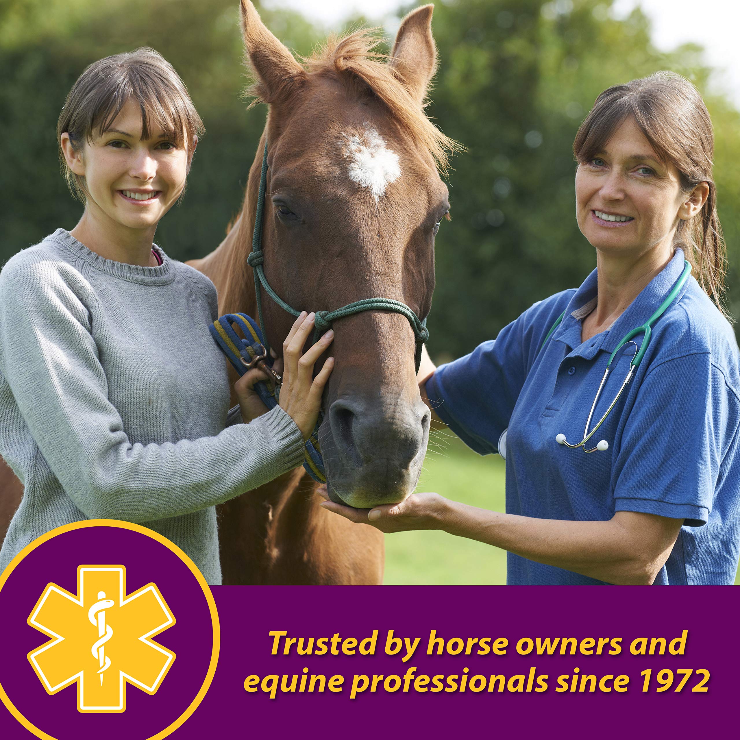 Horse Health Red Cell salud cardiovascular: ayuda a las células sanguíneas