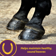 Texto granulado de Horse Health Vita Biotin Crumbles facilita la mezcla diaria.
