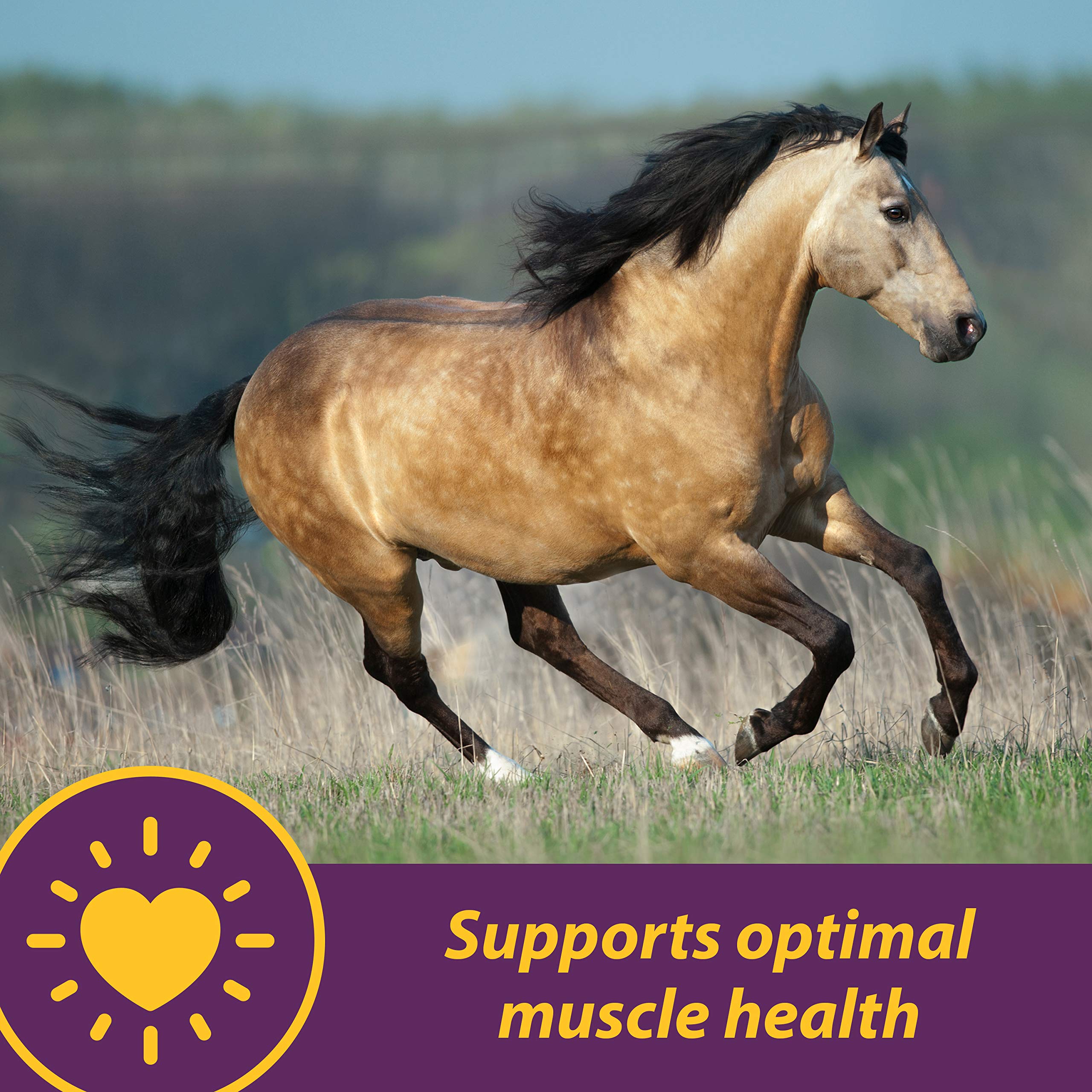 Horse Health Vita E y Selenio Crumbles: textura sabrosa para mezclar con alimento
