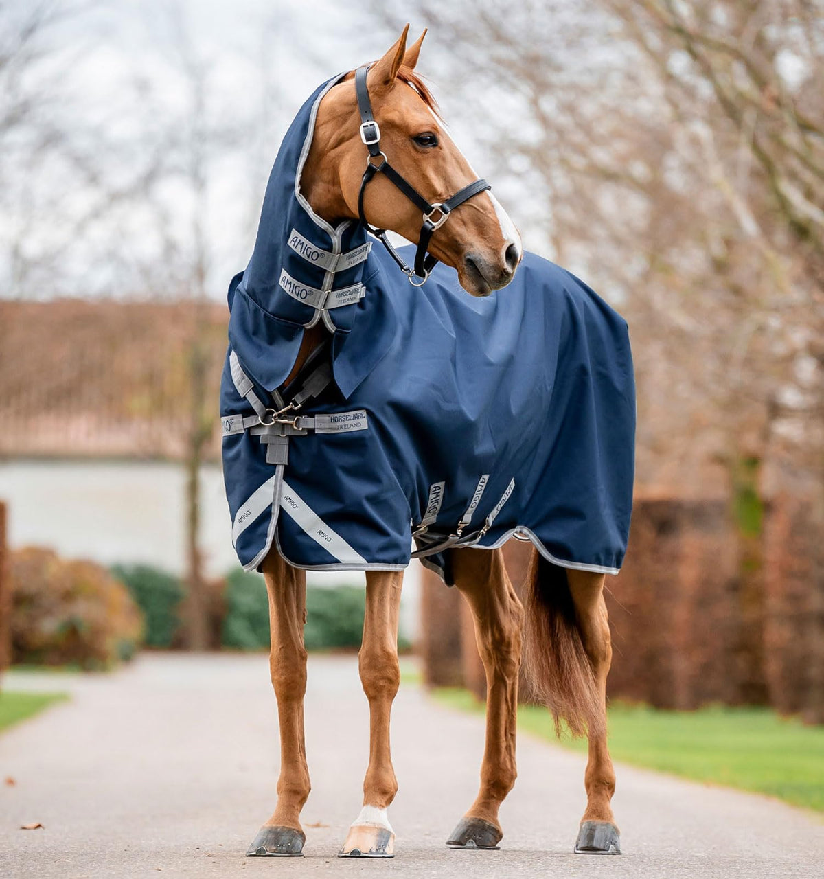 Horseware Amigo 1200D capucha integrada: protección impermeable para días lluviosos.