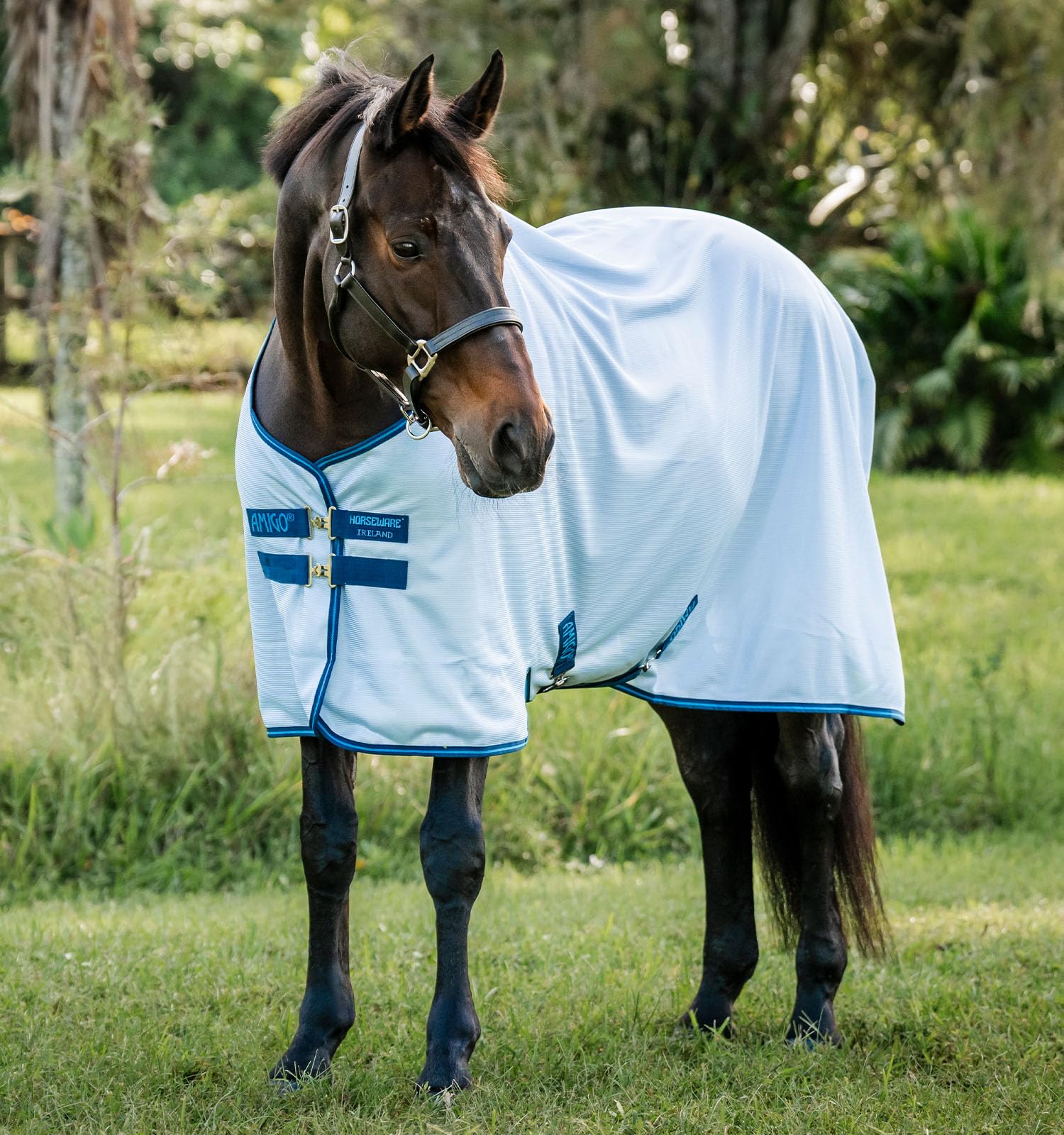 Horseware Amigo Bug Rug con malla resistente para protección y ventilación.