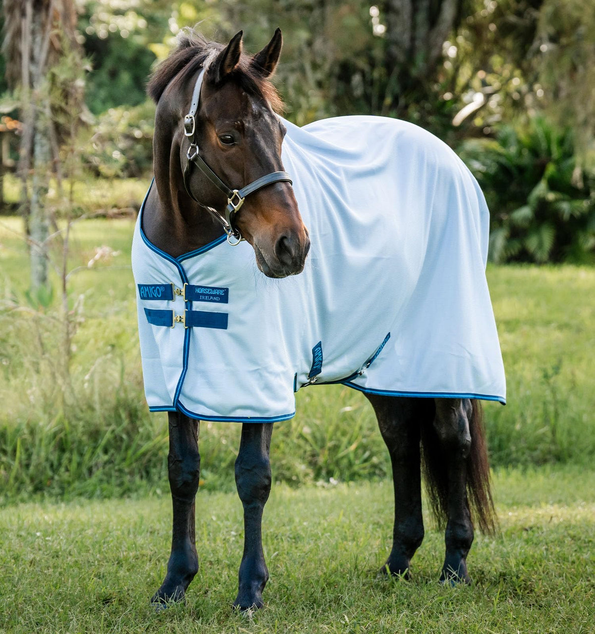 Horseware Amigo Bug Rug, malla ventilada, protección contra insectos para caballos.