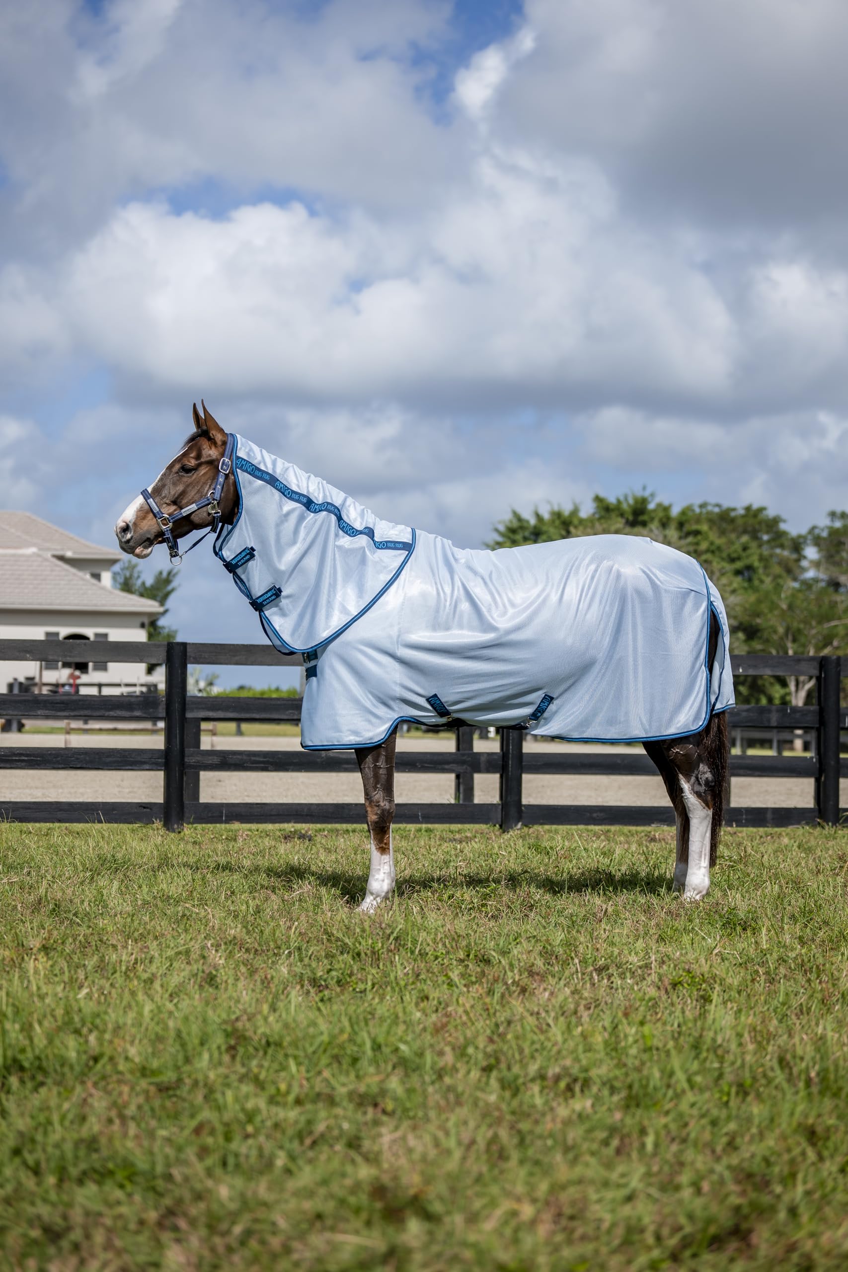 Horseware Amigo Bug Rug Plus, vista frontal, protección contra mosquitos y sol.